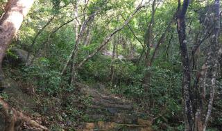 园山风景区可以骑电动车进去吗 深圳园山风景区