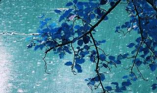 新年快乐图片漂亮