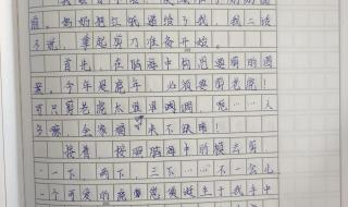 优秀作文选 优秀作文选